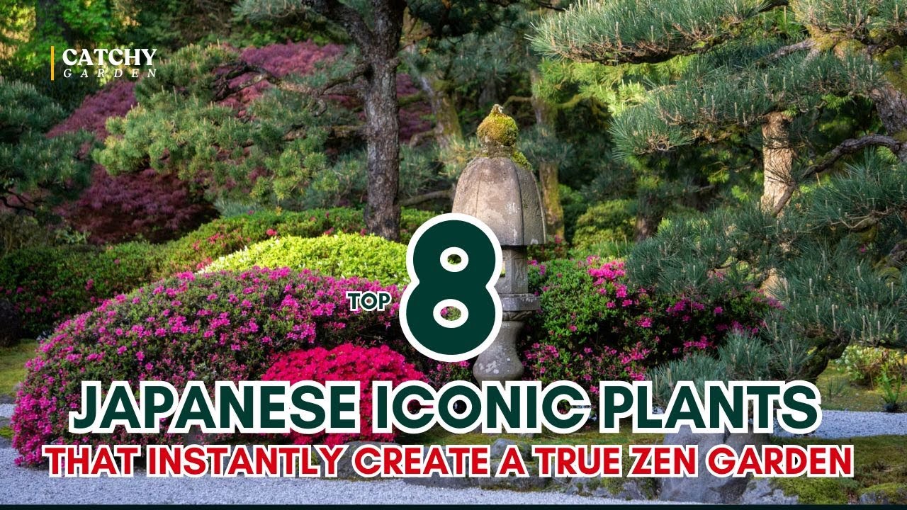 TOP 7 Japanese Iconic Plants That Instantly Create a TRUE Zen