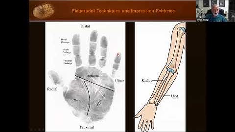 Fingerprint Classification Part 1: Fingerprint Pattern Interpretation