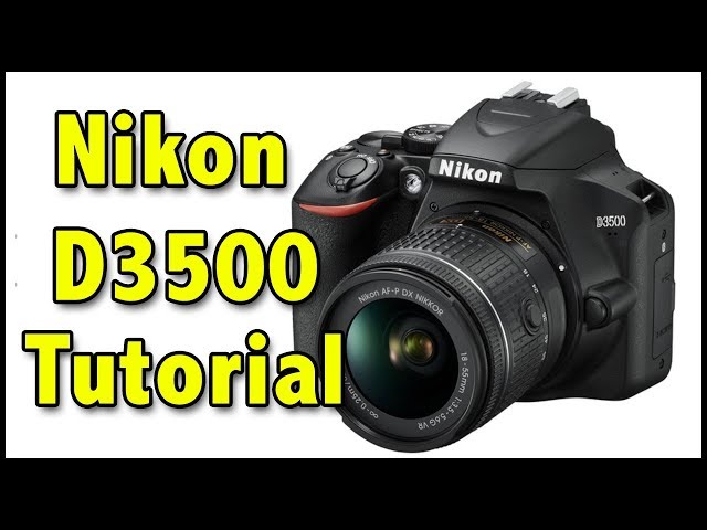 D3500, Digital SLR Cameras