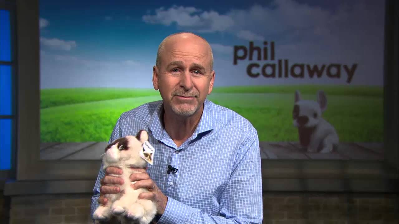 Tricks My Dog Taught Me: Don't Quit