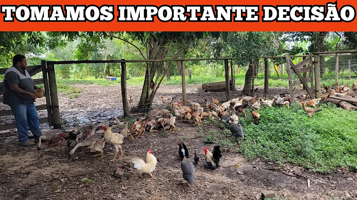 OUVIMOS OS CONSELHOS DE VOCS  TOMAMOS IMPORTANTE D...