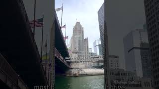 The competition to design Chicago's Tribune Tower