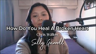 How Do You Heal A Broken Heart  Chris Walker  Sally Grinnell Cover