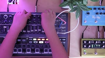 Minibrute 2S - Kashmir Drone