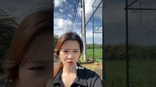 Pengyoumen Sugih Kudu Happy newyearhoahoe