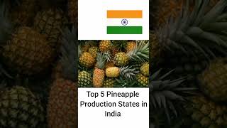Pineapple Production States||shorts