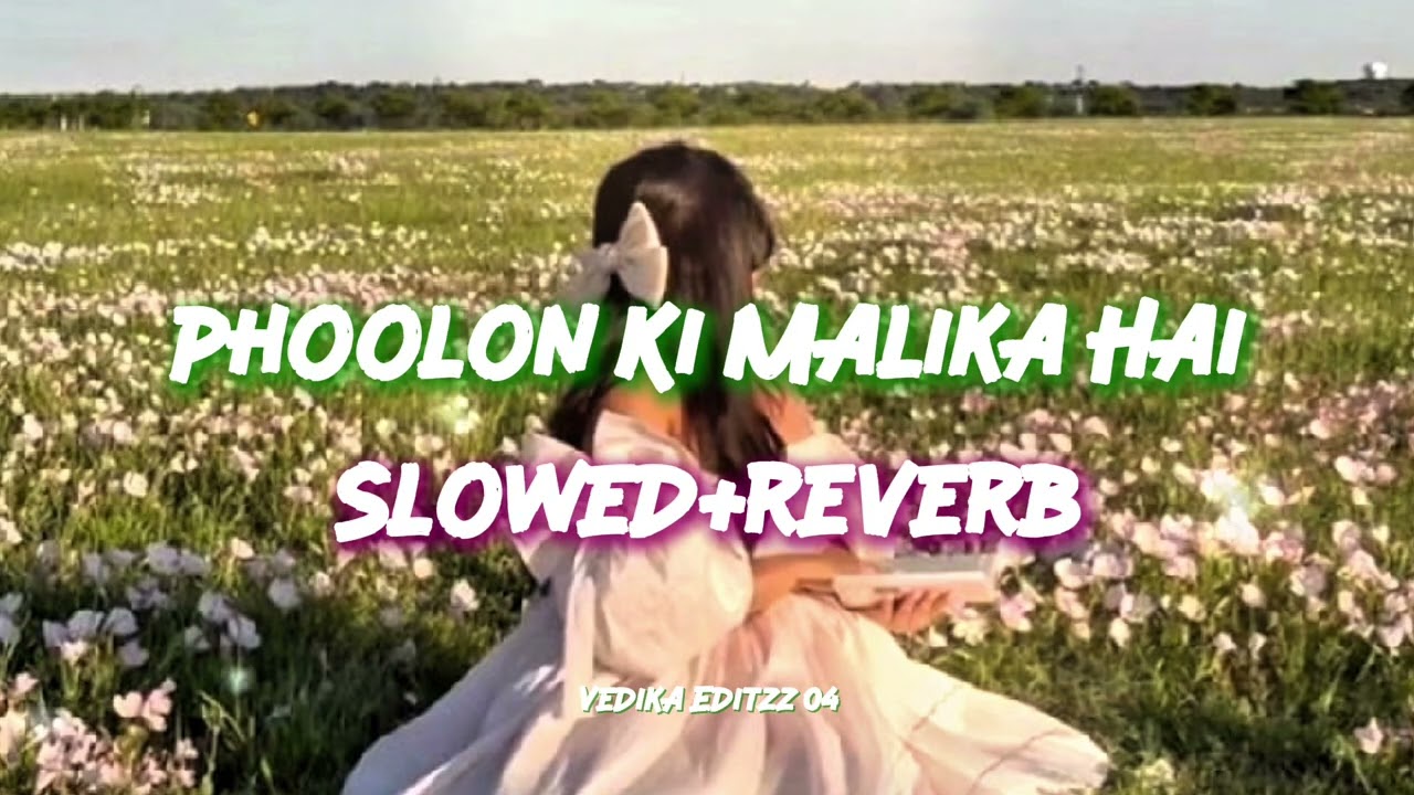 Phoolon ki malika hai🌹💫 [Slowed+Reverb] Feel this lofi song