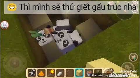 Mini World #5 Gấu trúc có bất tử hay không?Cách giết gấu trúc