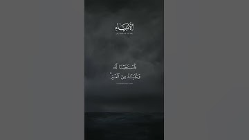 اكتب شيء تؤجر عليه 😴🤍 اذكر الله يذكرك #قران كريم بصوت القارئ ياسر الدوسري