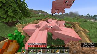 Pig Farm- MINECRAFT (with @Cellytheswagger )