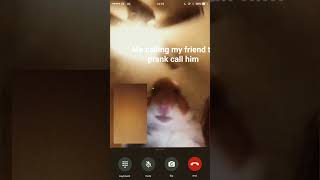 prank call