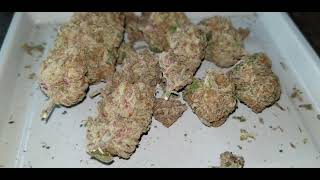SEED TO HARVEST DRIED FLOWER REVIEW 
