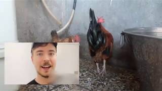 I Gave My Brother 24 Hours To Spend $100,000 - Rooster Reaction on Mr Beast Video