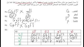 مسالة وراثة على قانون مندل الثانى