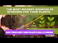 Les sources dazote les plus riches pour vos plantes jardinagepourdbutants conseilsdejardinage