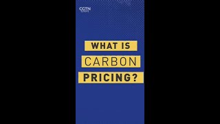 How does carbon pricing work?