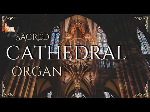Sacred Cathedral Organ Music for Study, Focus and Inner Peace
