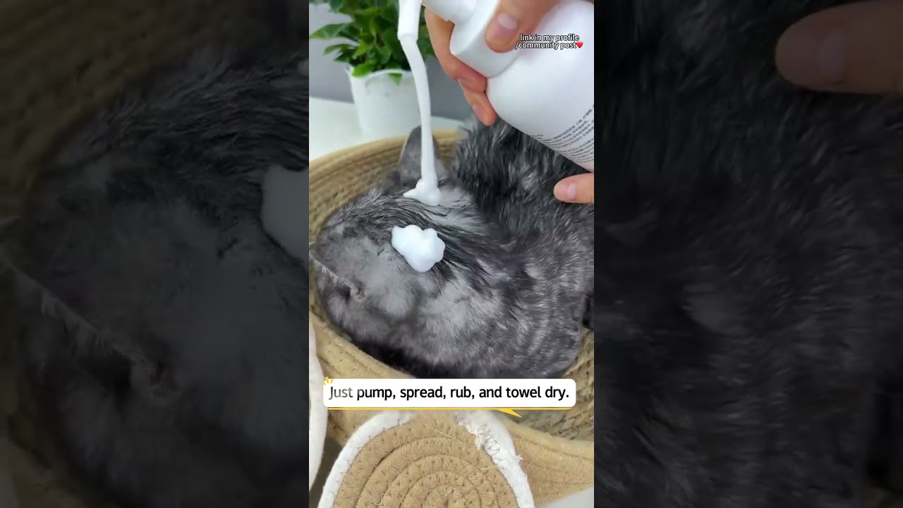 Keep your furry friend warm and clean this winter with our no-rinse foam! 🐶✨