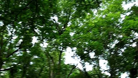 All Walnuts