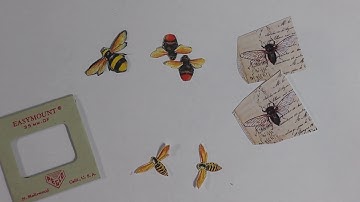 Specimen Slide Tricks