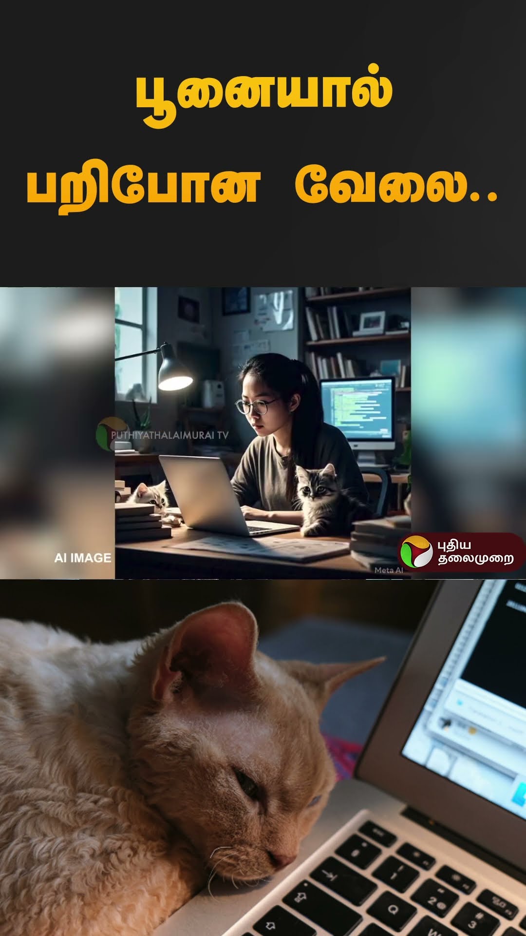 பூனையால் பறிபோன வேலை.. | #china | #cat | #joblost | #shorts