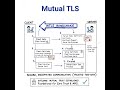 mTLS #cryptography #tls #mtls #cybersecurity