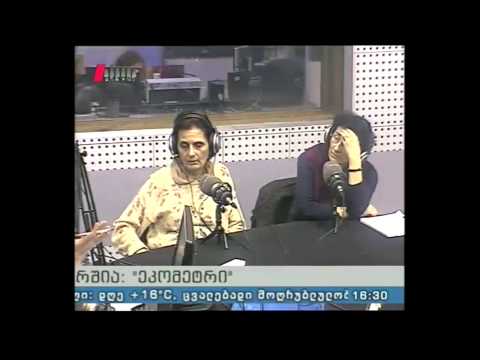 \"ეკომეტრი\" 15.04.15 მდგრადი ქალაქების განვითარების პერსპექტივები