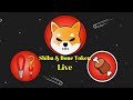 Shiba Inu, Bone Token Last News Live