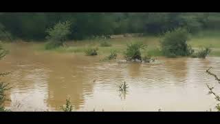 Taung Near Ramotswa Botswana - Let Us All Stay Safe During This Rainy Season