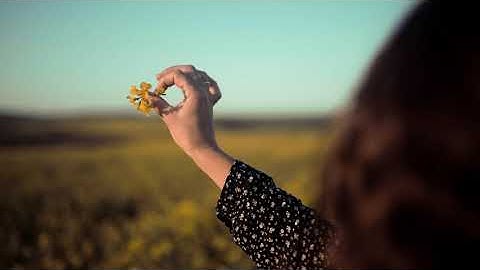 THE MOST BEAUTIFUL FARM IN THE WORLD?! BUFFER ZONE