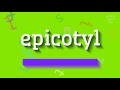 How to say "epicotyl"! (High Quality Voices)