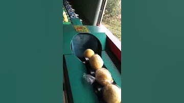 lemon sorter machine lemon sorting machine