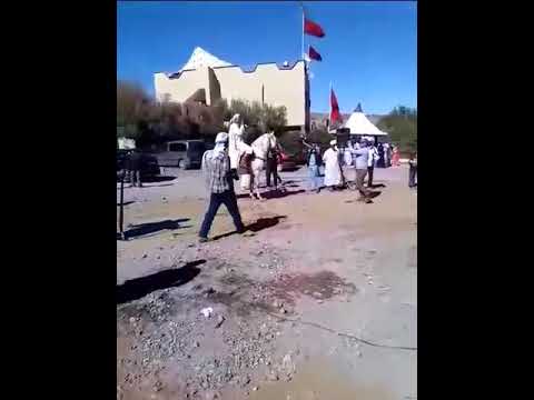 عشاق الخيل وتبوريدة ارفدو لغط رائع مع البارود ااااارفدوو