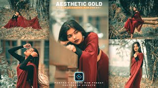 Aesthetic Gold Tone | Color Grading Photoshop Camera Raw Presets screenshot 2