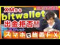 【問題発生!!】XMからbitwalletに出金できなくなった!? えっ?100万円口座よりも10万円口座の方が稼げてる!【初心者 FX自動売買ツール 検証】