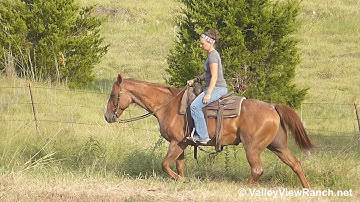 King Of The Payday - trail riding #1 - ValleyViewRanch.net