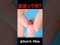 血豆って何? #shorts