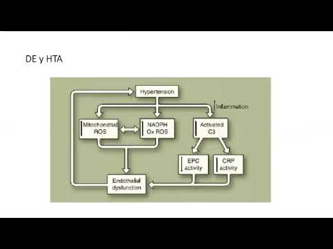 DE y factores de riesgo CV