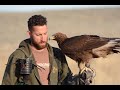 Golden Eagle Falconry Conditioning and Training