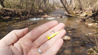 BROOK TROUT LOVE THIS LURE | Early Spring Trout Fishing!