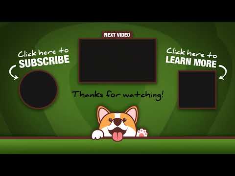 Dog begs for attention in funniest possible way