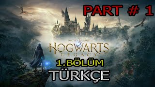 HOGWARTS LEGACY TÜRKÇE - BAŞLIYORUZ - BÖLÜM 1