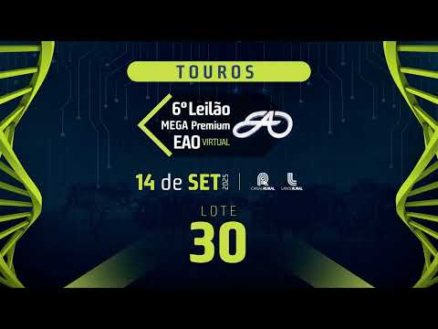 LOTE 30