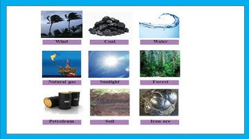 VICTERS STD 6| SOCIAL SCIENCE| MARCH 17