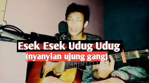 Esek Esek Udug Udug - Iwan Fals (Album Swami) | Live Acoustic Cover