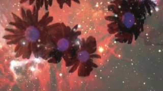5UU'S - CRISIS IN CLAY