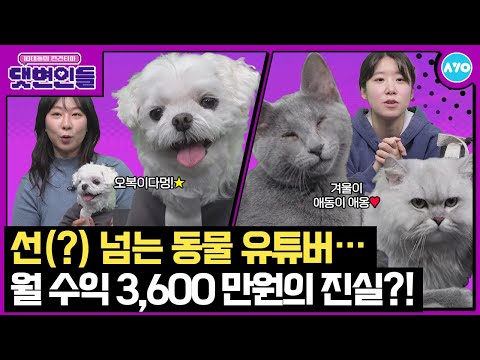 [ENG]강아지 VS 고양이 영상찍다 폭주…랜선집사 픽 갓오복X읏디 등판