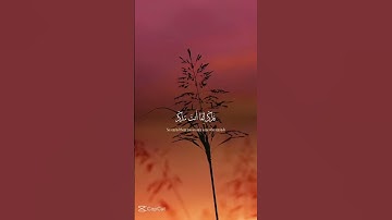 {أفلا ينظرون إلى الإبل كيف خلقت} [الغاشية : 17] عبد الرحمن مسعد - القرآن الكريم تحميل و استماع🎧🤍😔