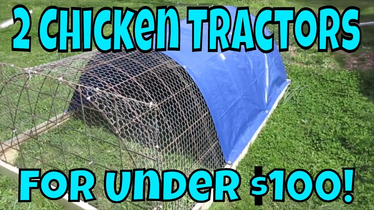 How to Build 2 Chicken Tractors in 4 hours for under 100 dollars YouTube
