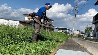 【ルンルンの裏庭】お父さんの草刈りおさめ